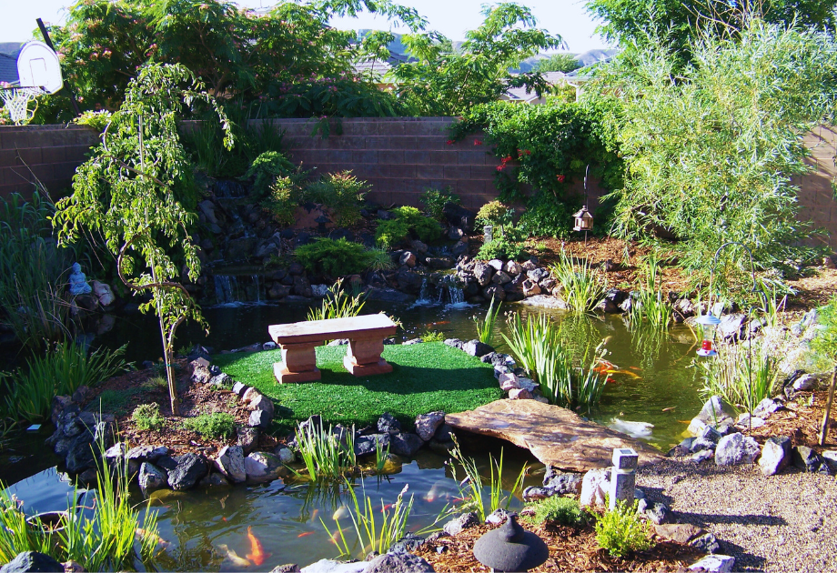 large backyard pond